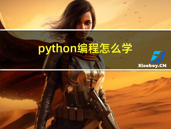 python编程怎么学的相关图片