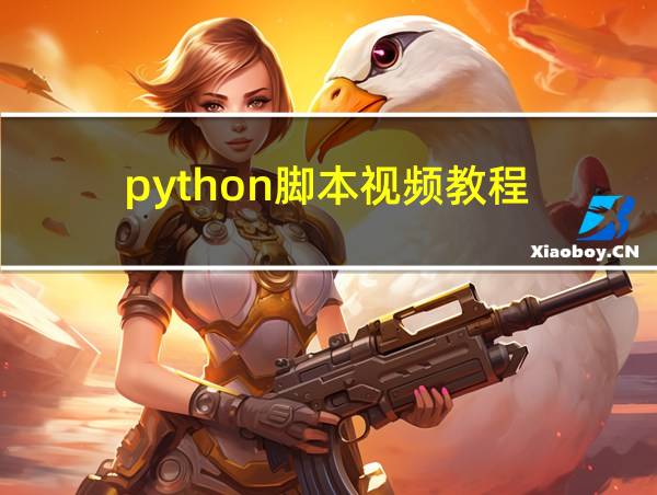 python脚本视频教程的相关图片