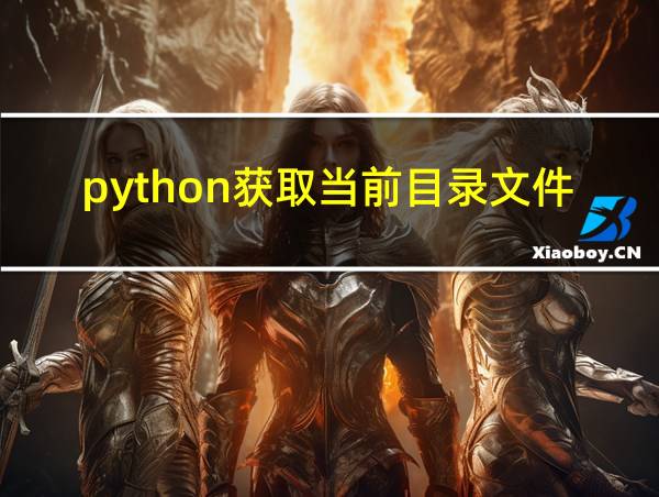 python获取当前目录文件的相关图片