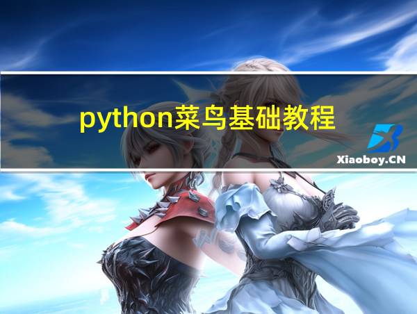 python菜鸟基础教程的相关图片