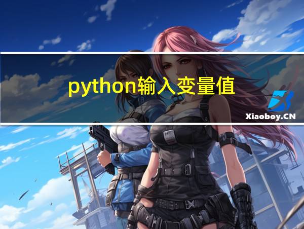 python输入变量值的相关图片