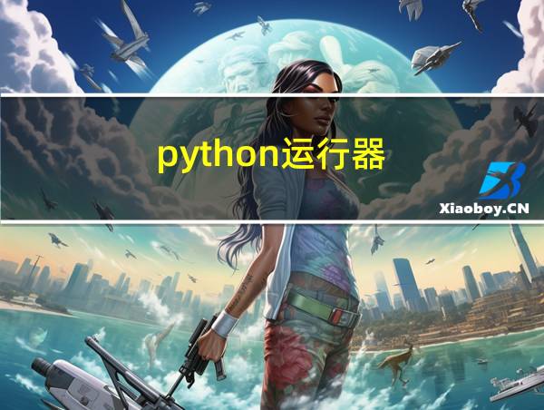 python运行器的相关图片