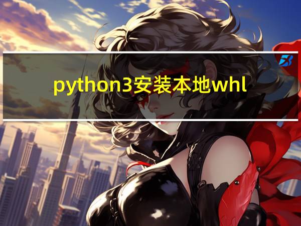 python3安装本地whl的相关图片