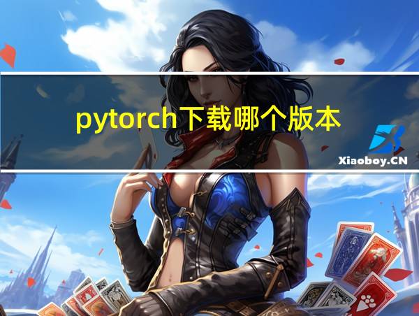 pytorch下载哪个版本的相关图片