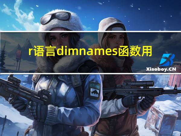 r语言dimnames函数用法的相关图片