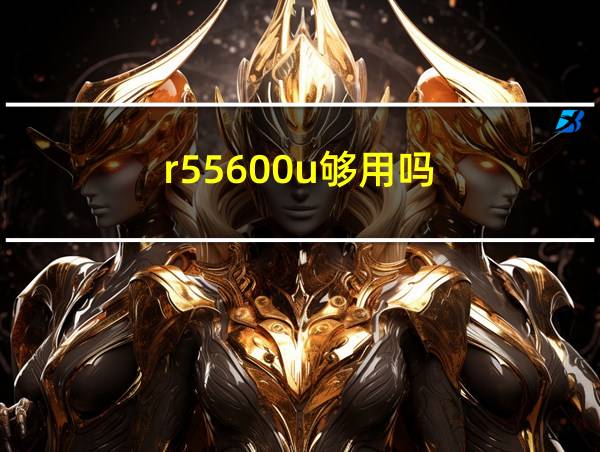 r55600u够用吗的相关图片