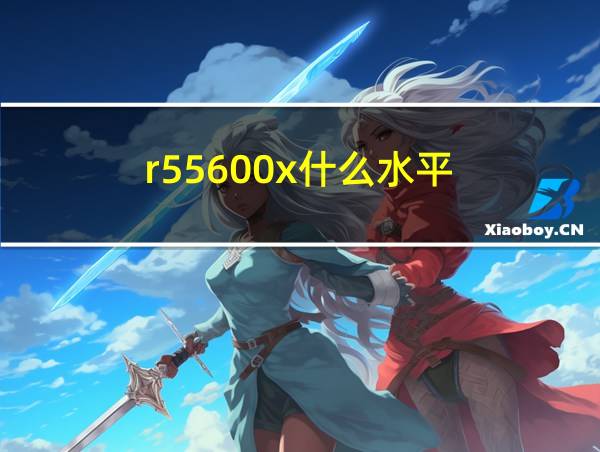 r55600x什么水平的相关图片