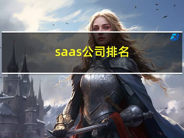 saas公司排名的相关图片