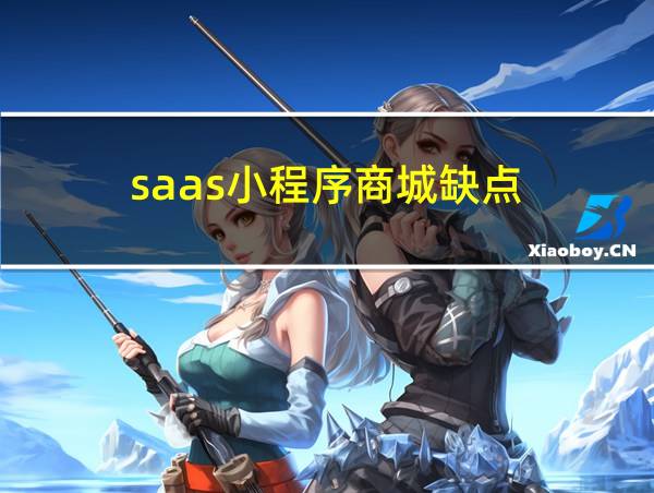 saas小程序商城缺点的相关图片