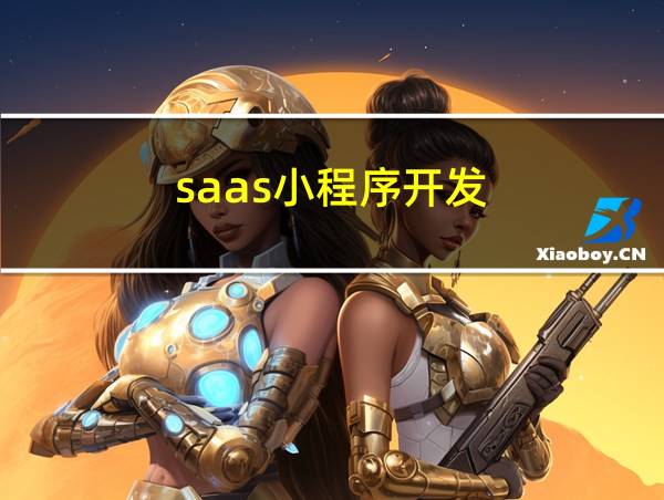 saas小程序开发的相关图片