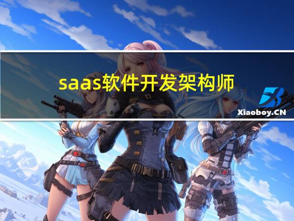 saas软件开发架构师的相关图片