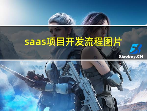 saas项目开发流程图片的相关图片