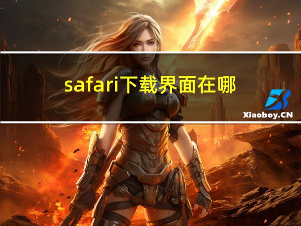 safari下载界面在哪的相关图片