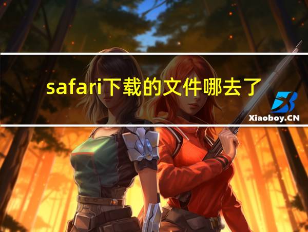 safari下载的文件哪去了的相关图片