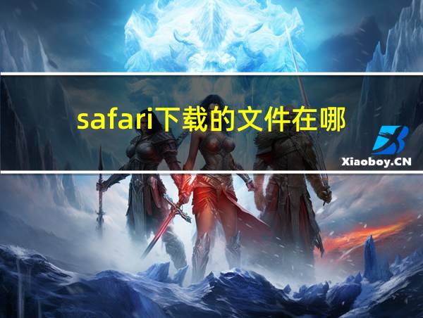 safari下载的文件在哪的相关图片