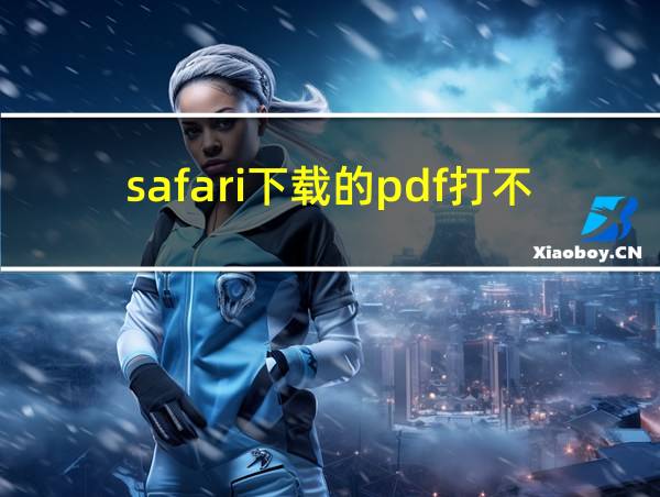 safari下载的pdf打不开的相关图片