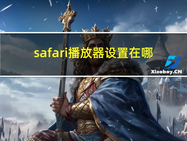 safari播放器设置在哪的相关图片