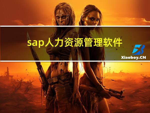 sap人力资源管理软件的相关图片