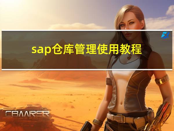 sap仓库管理使用教程的相关图片