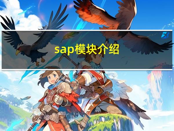 sap模块介绍的相关图片