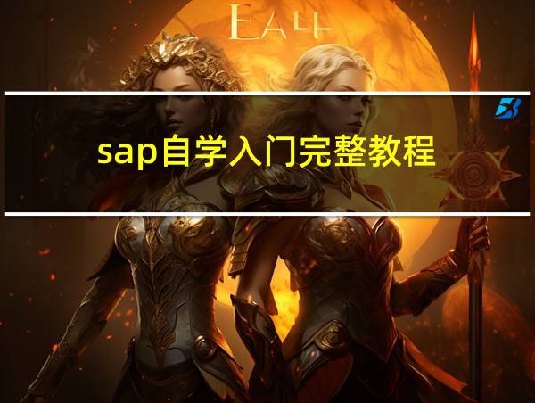 sap自学入门完整教程的相关图片