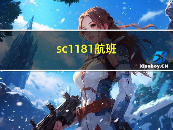 sc1181航班的相关图片