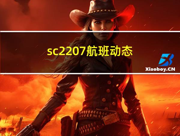 sc2207航班动态的相关图片