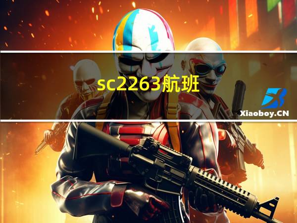 sc2263航班的相关图片