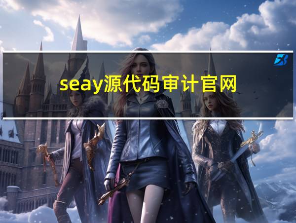 seay源代码审计官网的相关图片