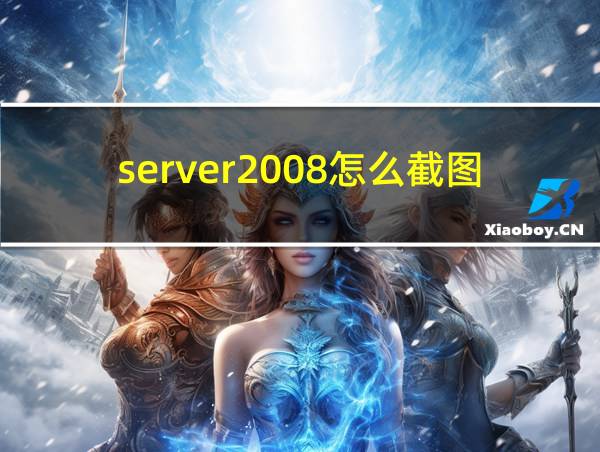 server2008怎么截图的相关图片