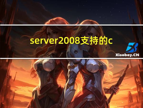 server2008支持的cpu的相关图片