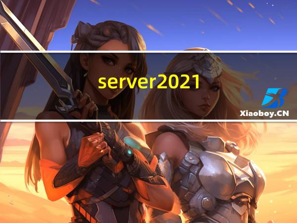 server2021的相关图片