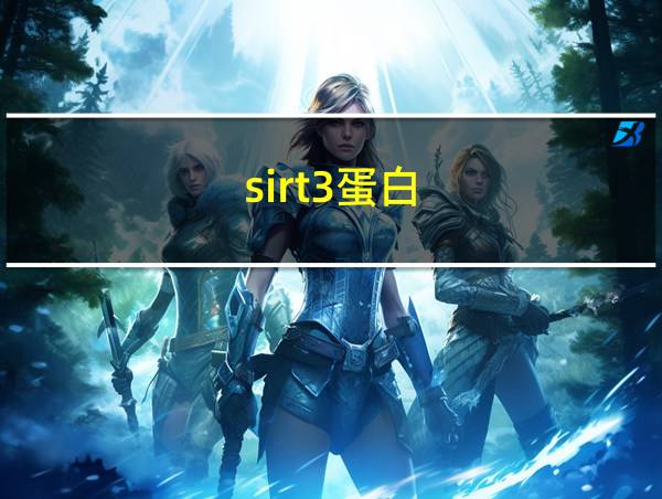 sirt3蛋白的相关图片