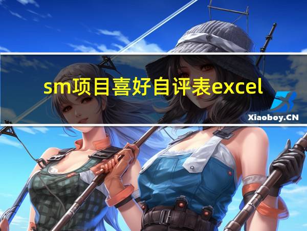 sm项目喜好自评表excel的相关图片