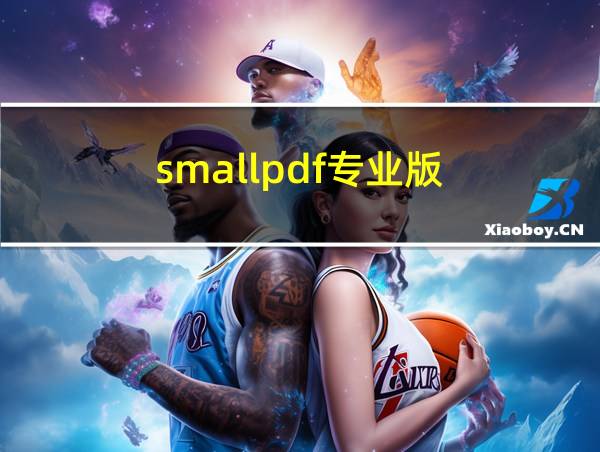 smallpdf专业版的相关图片