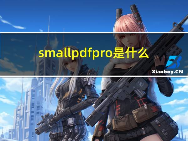 smallpdfpro是什么的相关图片