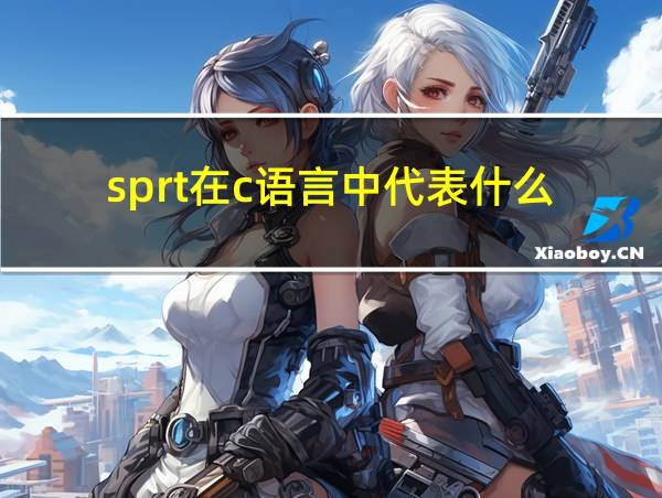 sprt在c语言中代表什么的相关图片