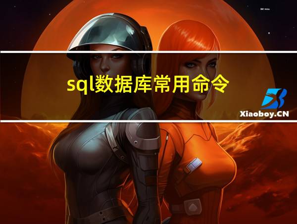 sql数据库常用命令的相关图片