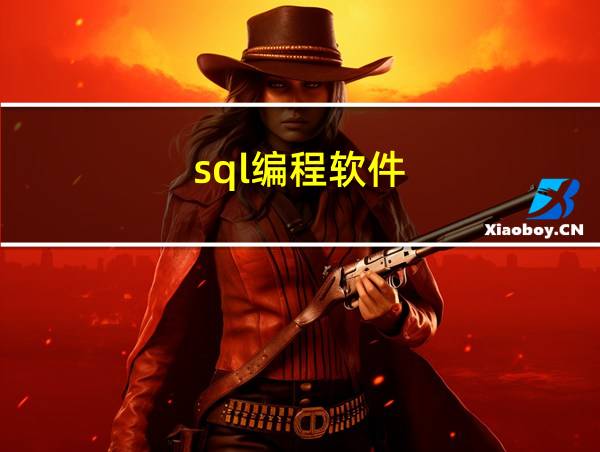 sql编程软件的相关图片