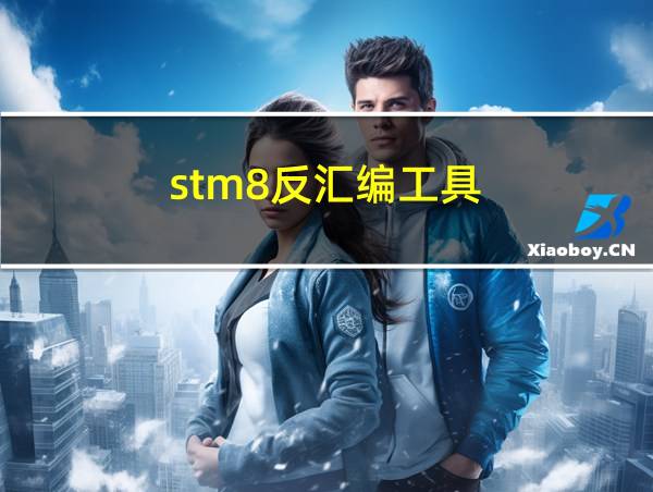 stm8反汇编工具的相关图片