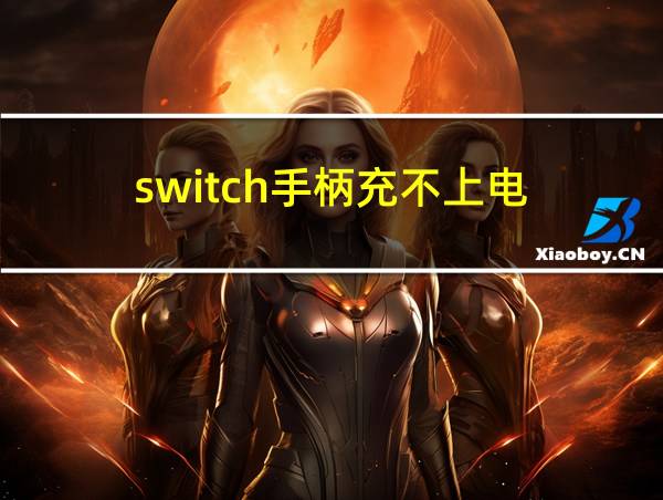 switch手柄充不上电的相关图片