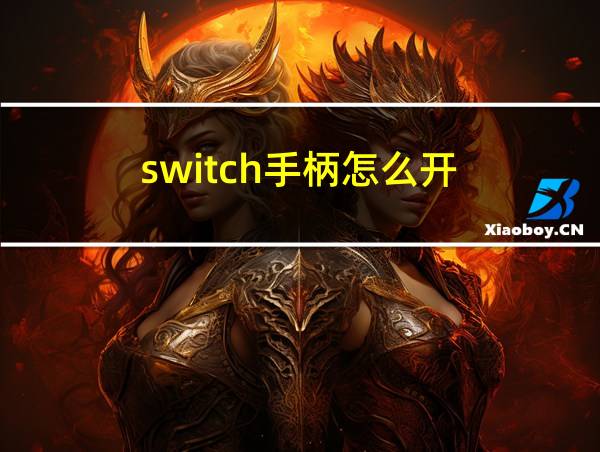 switch手柄怎么开的相关图片