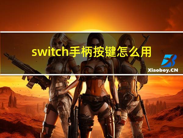 switch手柄按键怎么用的相关图片