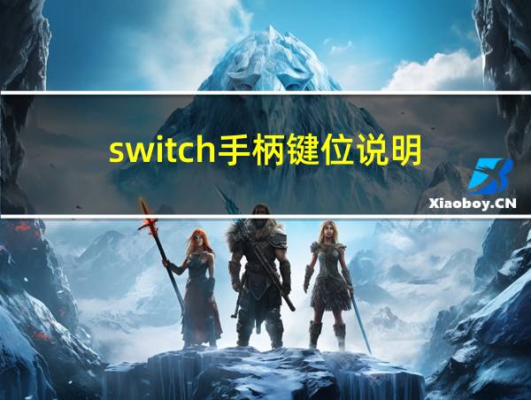 switch手柄键位说明的相关图片