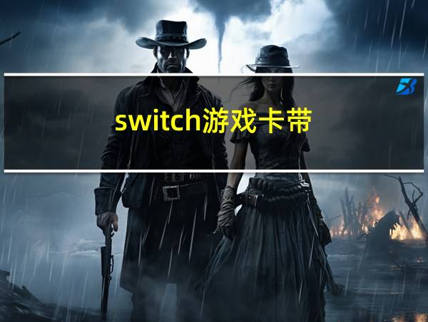 switch游戏卡带的相关图片