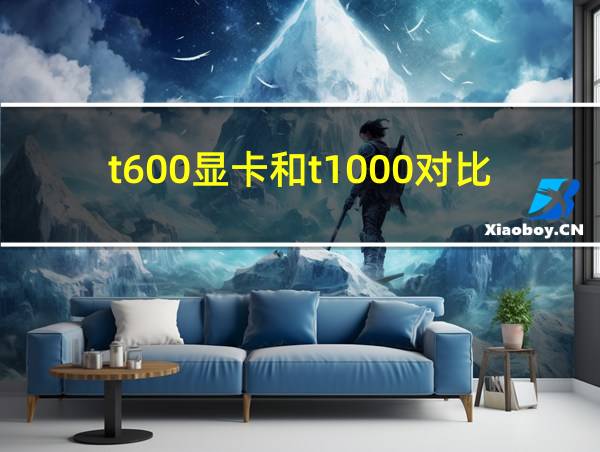 t600显卡和t1000对比的相关图片