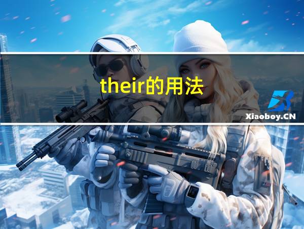 their的用法的相关图片