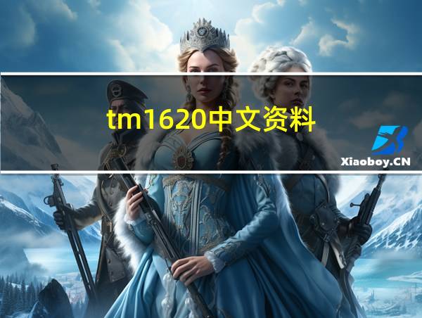 tm1620中文资料的相关图片