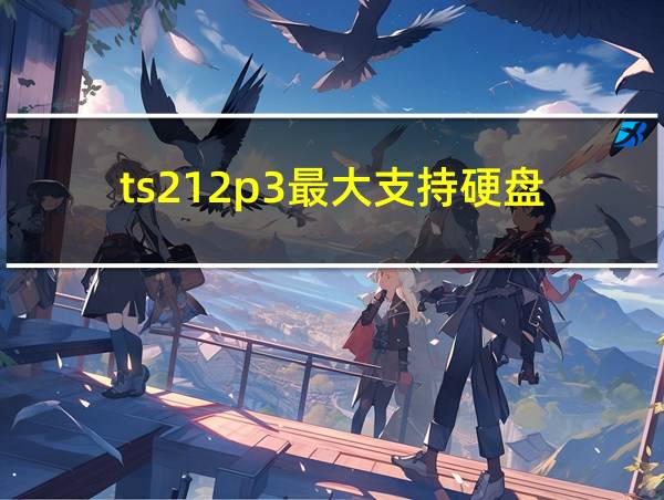 ts212p3最大支持硬盘的相关图片