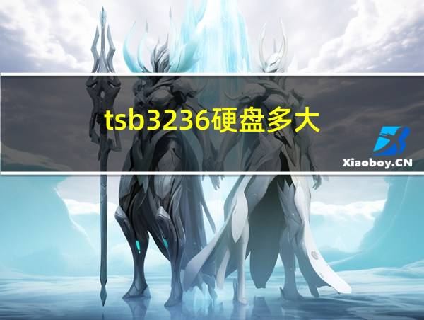 tsb3236硬盘多大的相关图片